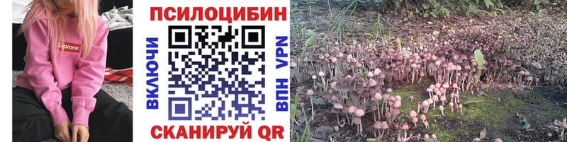 Псилоцибиновые грибы Cubensis  Луза 